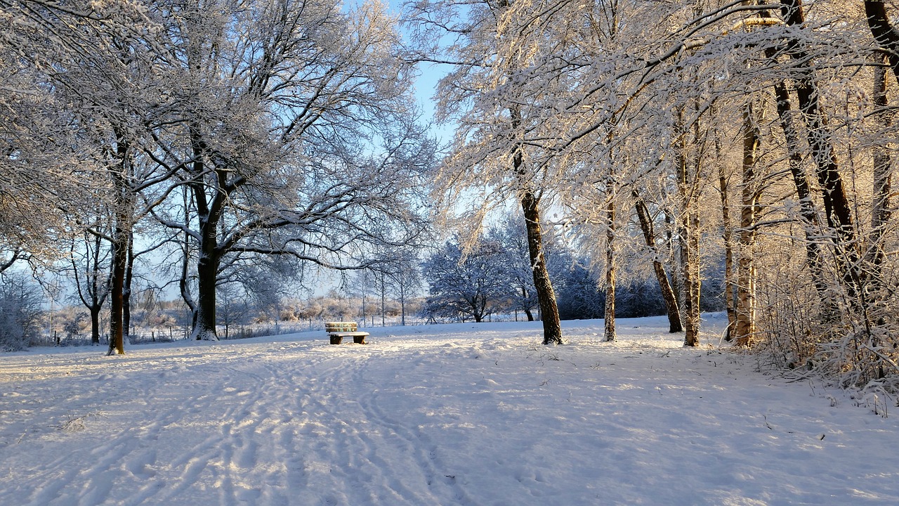 南山雪域风情与滑雪盛宴，最新雪况报告揭秘滑雪盛宴盛况