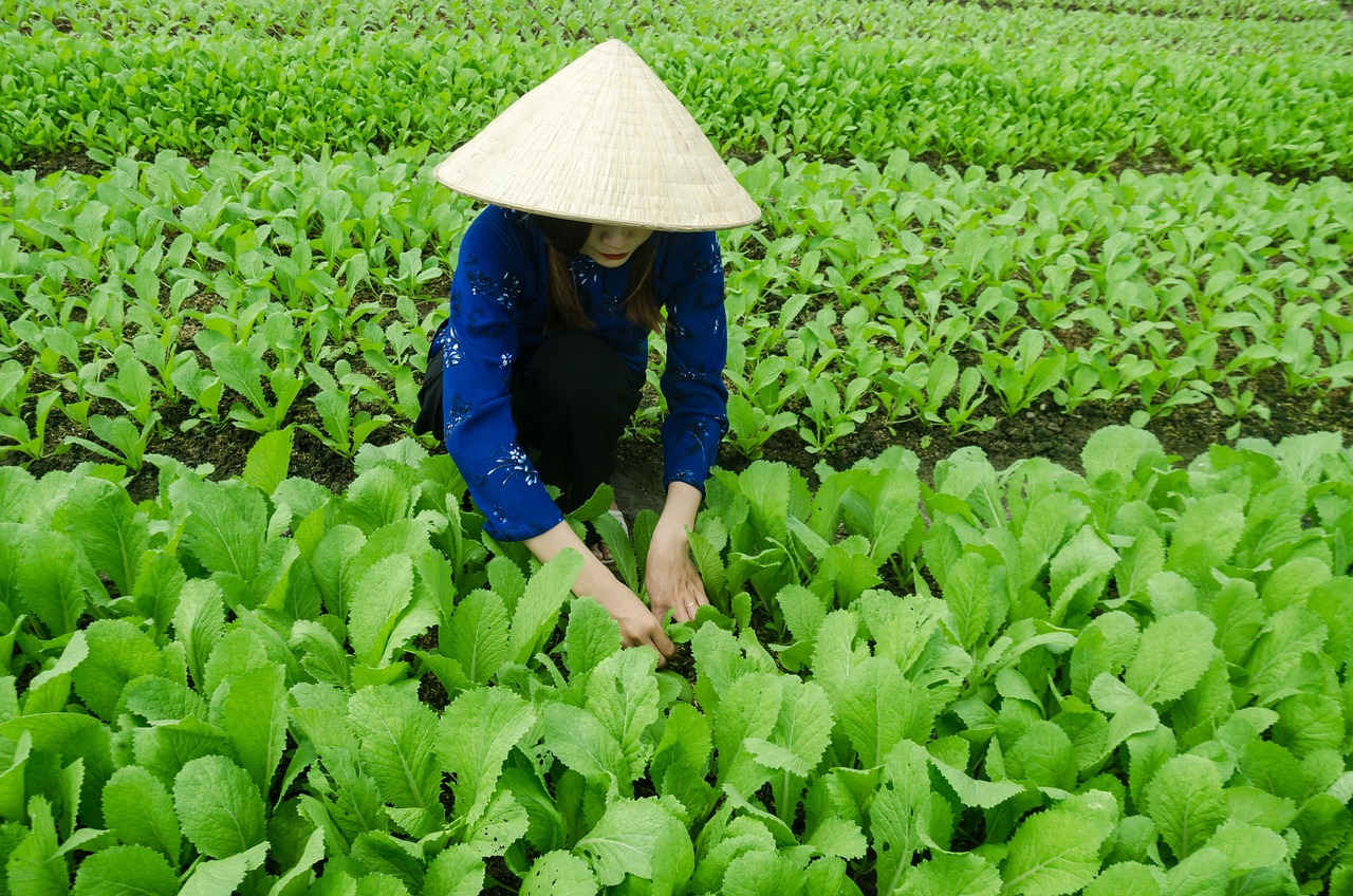 新疆最新动态，发展与繁荣的脉搏