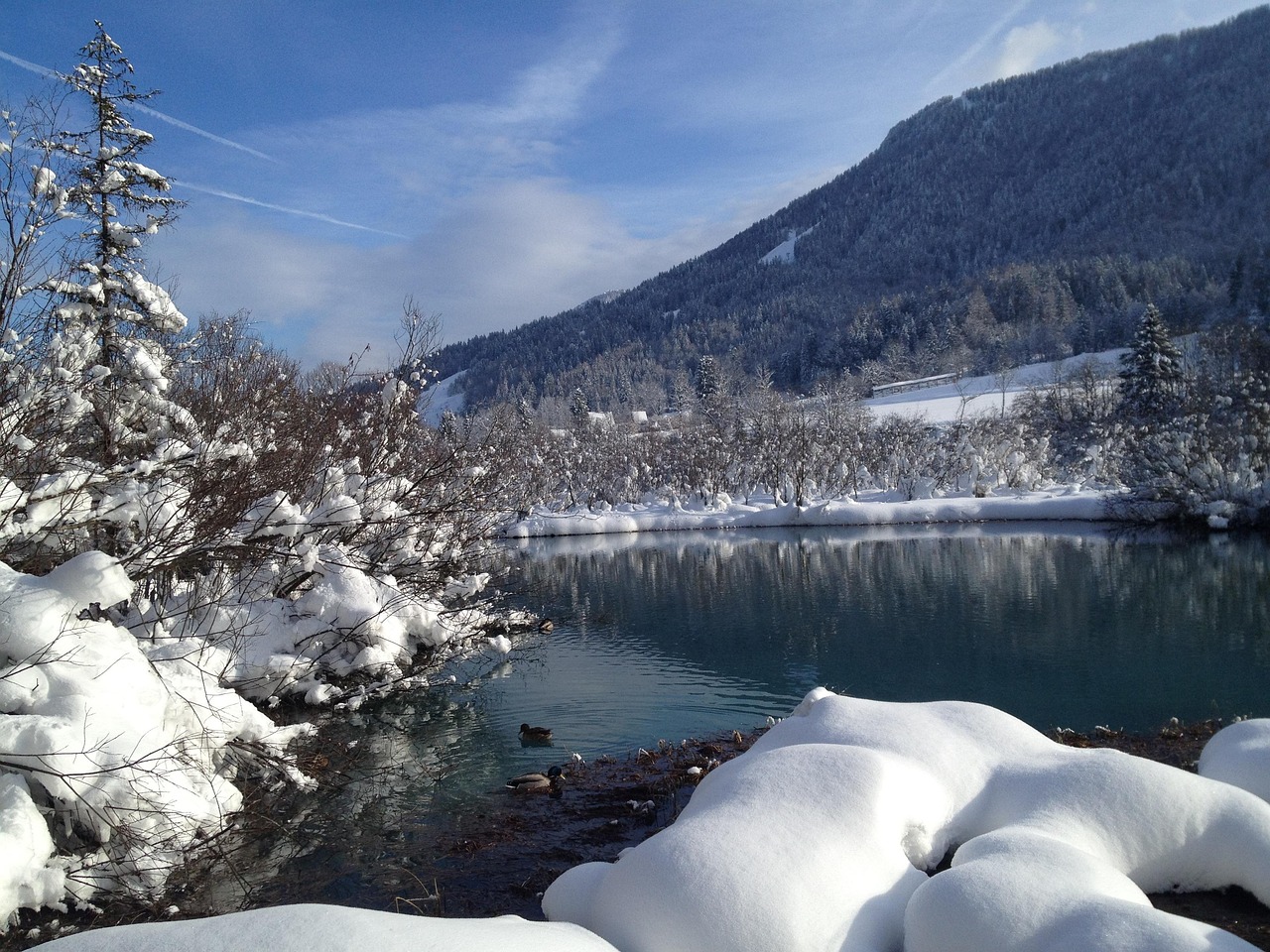 最新湖看雪，冬日邂逅的美丽画卷